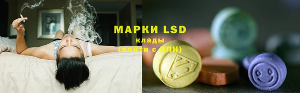 spice Надым