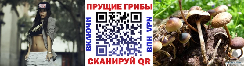 нарко площадка состав  Чебаркуль  Псилоцибиновые грибы Magic Shrooms 